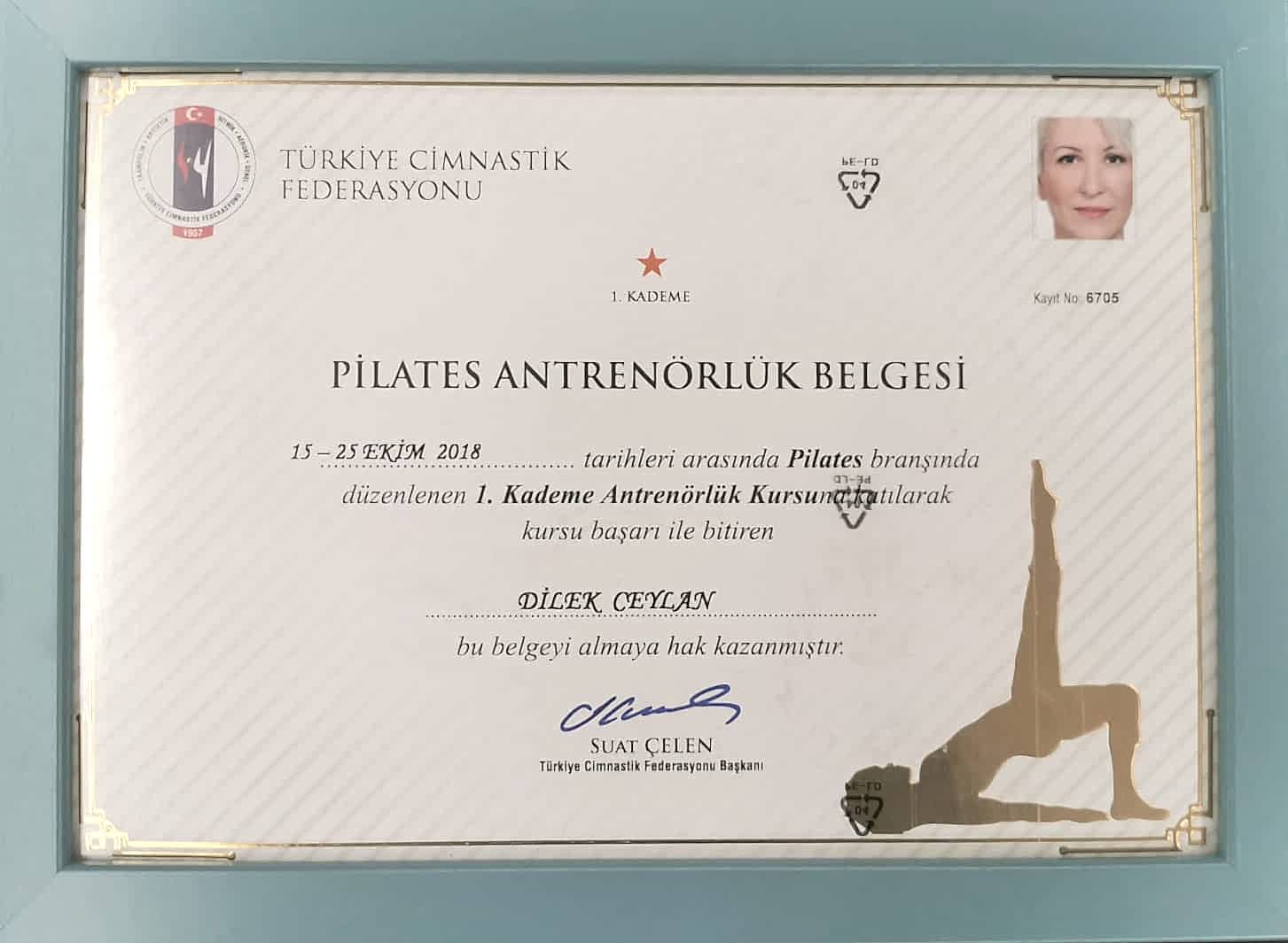 İso Belgeleri 8