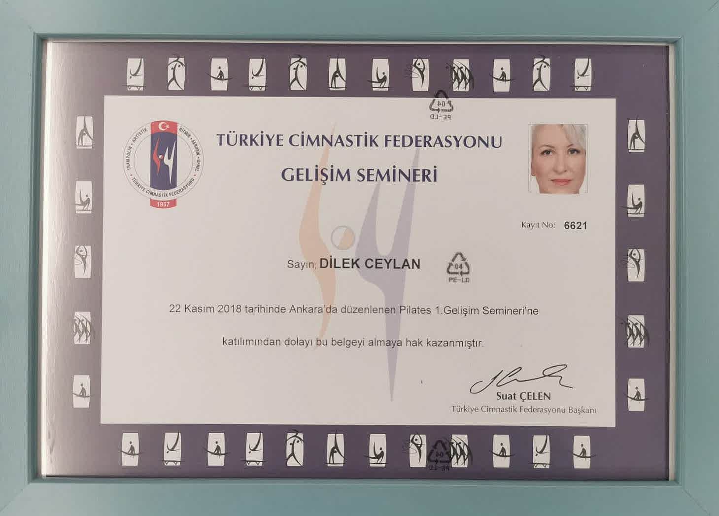 İso Belgeleri 8
